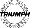 triumph rally ieper